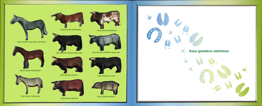 Estuche coleccionable Razas Ganaderas